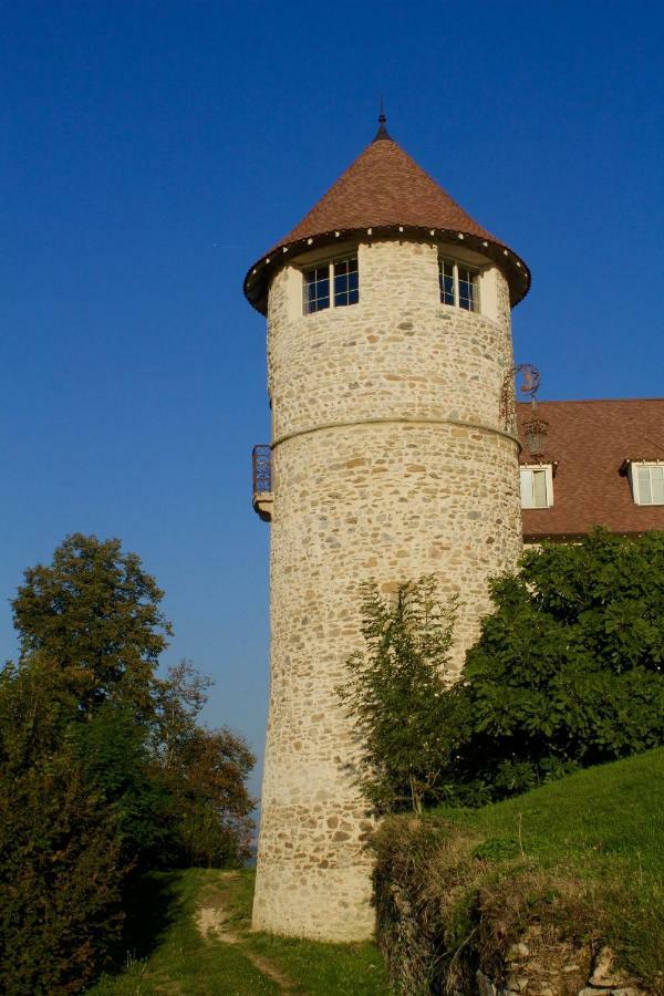 Bed and Breakfast La Tour De Quinsonnas Serezin-de-la-Tour Exterior foto